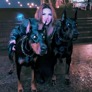 欧美激情高清免费不卡
