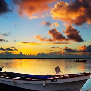 欧美激情高清免费不卡
